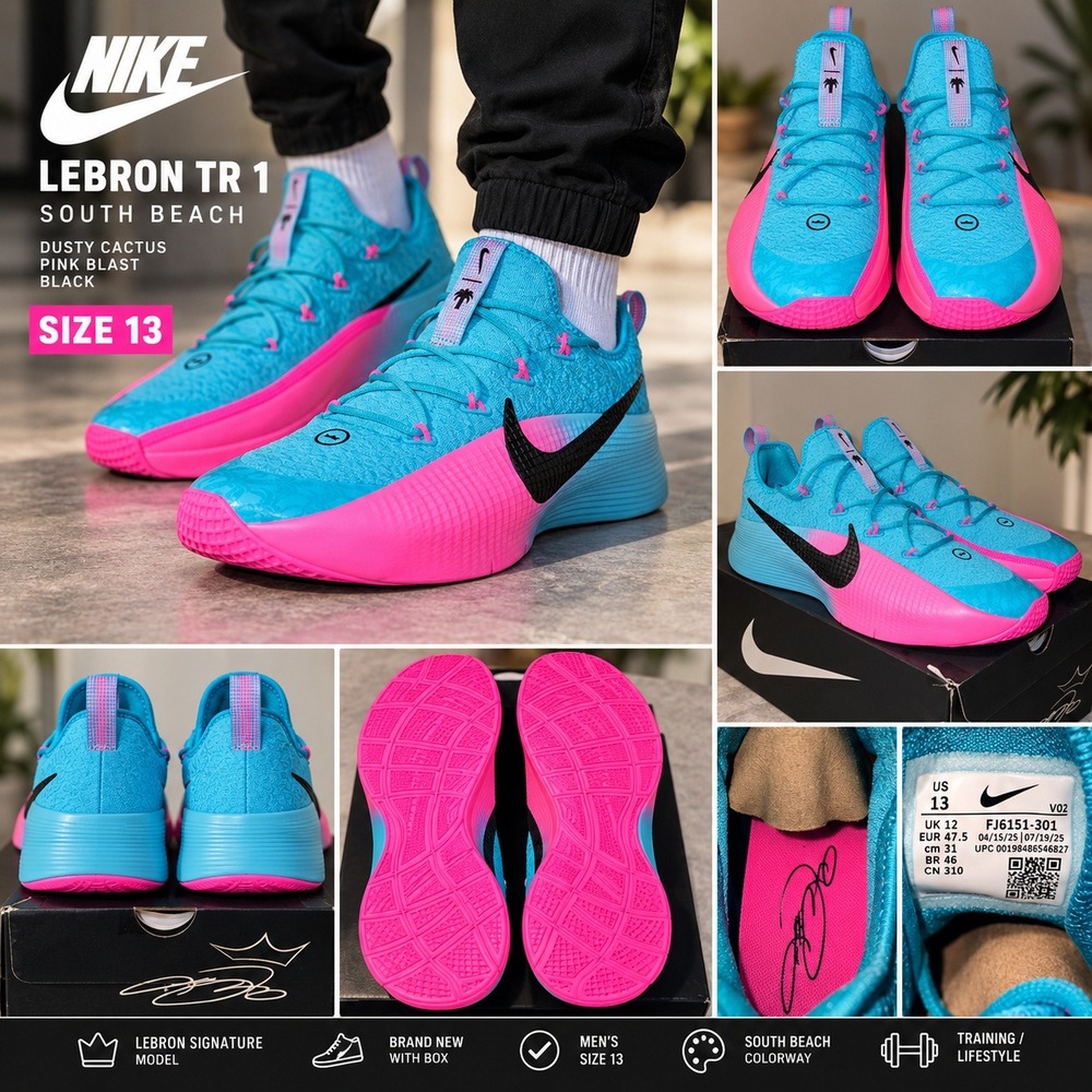 Nike LeBron TR 1 South Beach Dusty Cactus Pink Blast FJ6151-301 Mens Size 13
